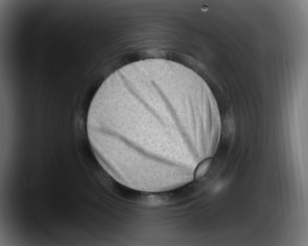X0000087550522200705251743