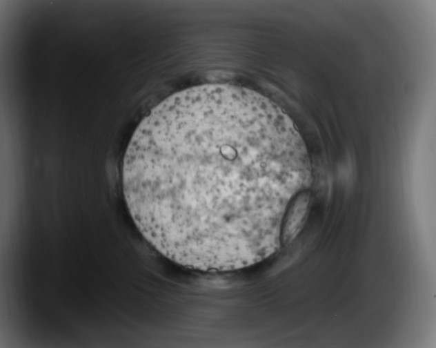 X0000087550523200705251743