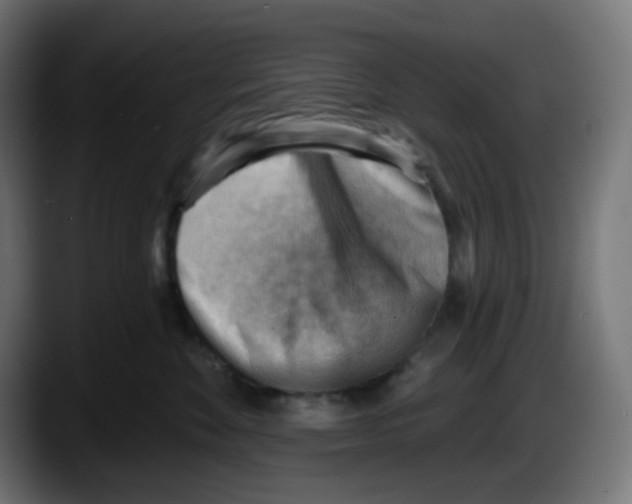 X0000087550524200705251743