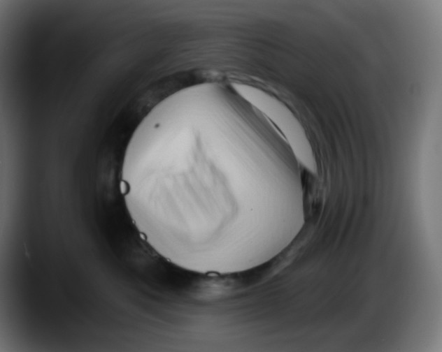 X0000087550525200705251742