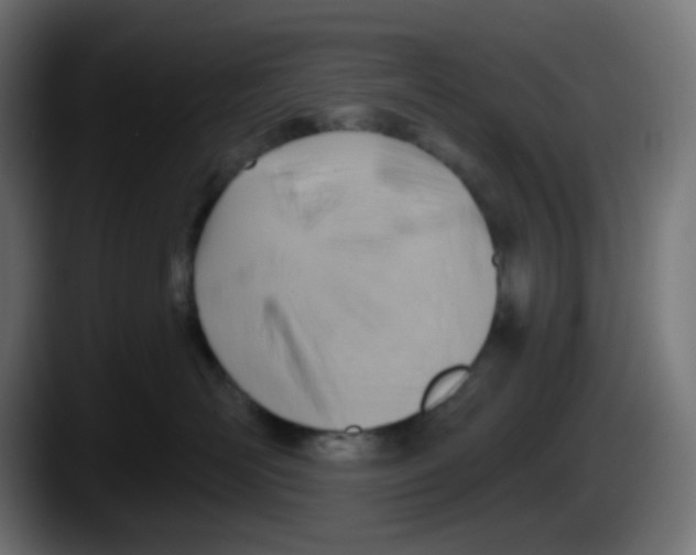X0000087550526200705251742