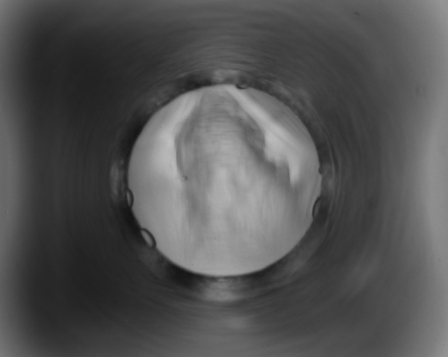 X0000087550527200705251742