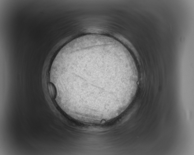 X0000087550529200705251742