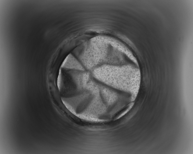 X0000087550530200705251742