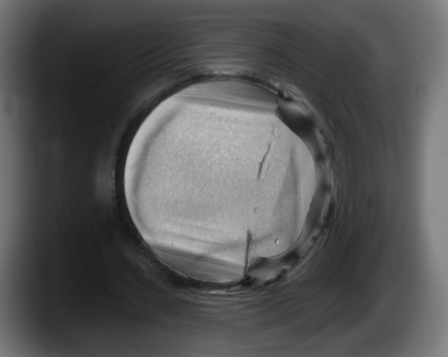 X0000087550531200705251742
