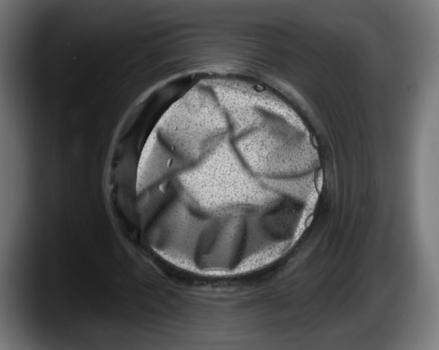 X0000087550532200705251742