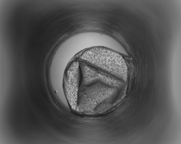 X0000087550534200705251742