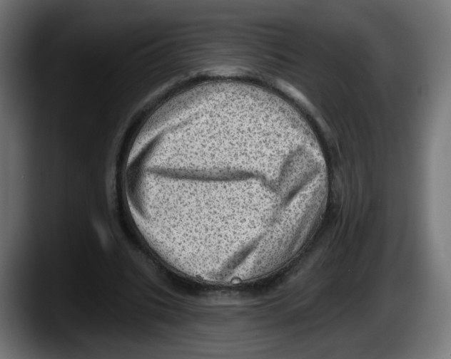 X0000087550535200705251742