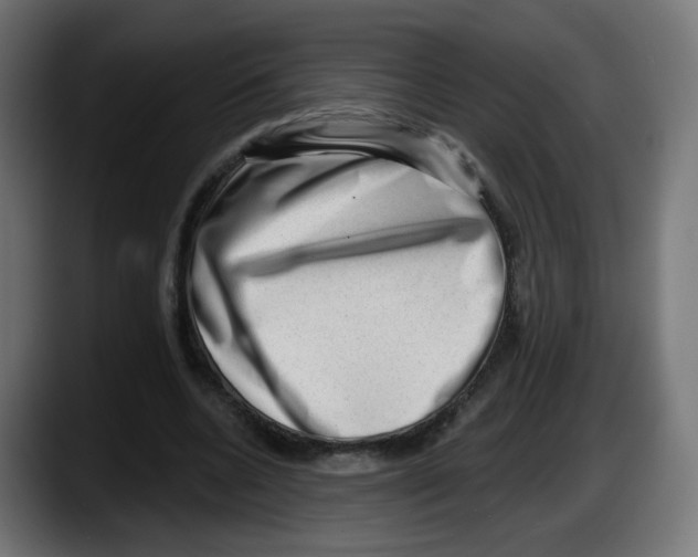X0000087550536200705251742