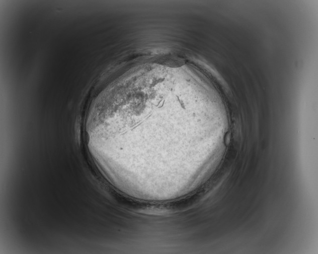 X0000087550537200705251742