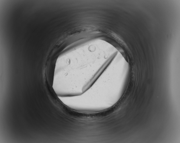 X0000087550538200705251742