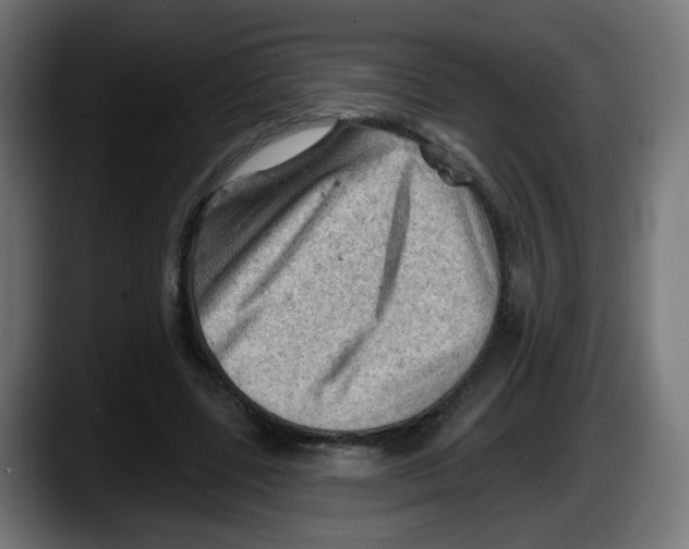X0000087550539200705251742