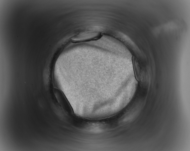 X0000087550540200705251742