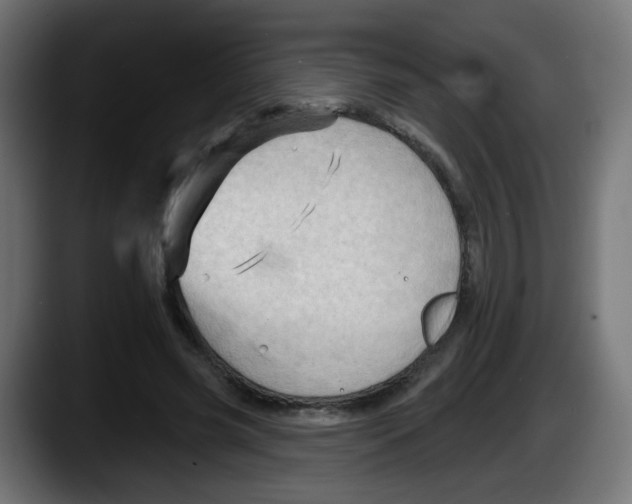 X0000087550541200705251742