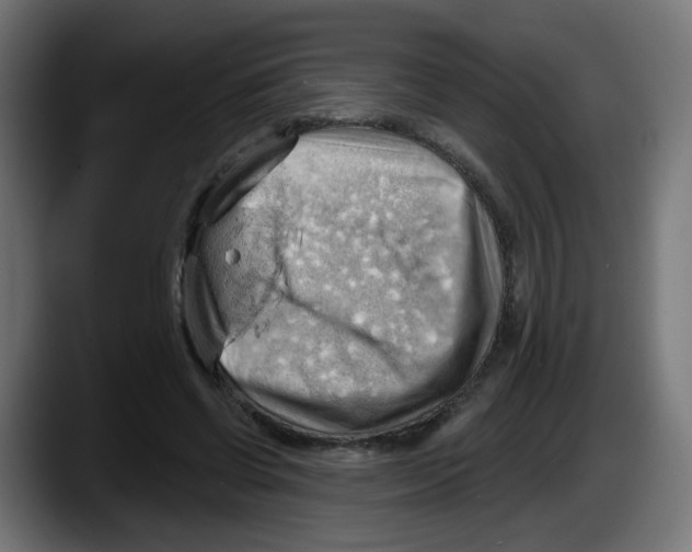X0000087550542200705251742