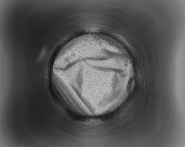 X0000087550543200705251742