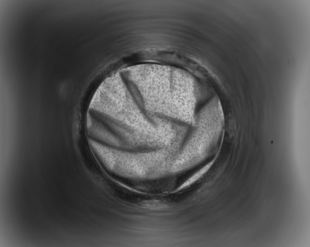 X0000087550544200705251742