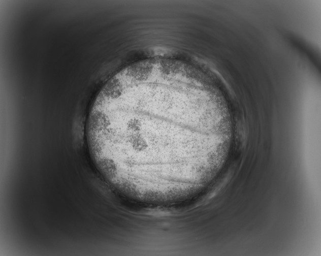 X0000087550545200705251742
