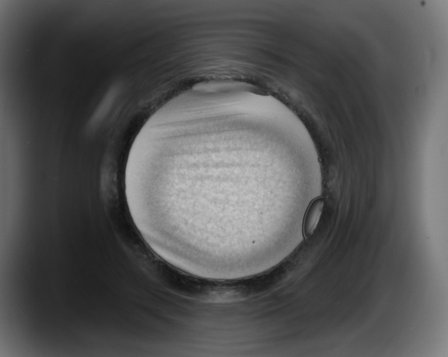 X0000087550547200705251742