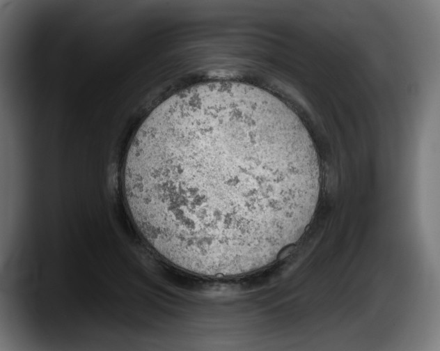 X0000087550549200705251742
