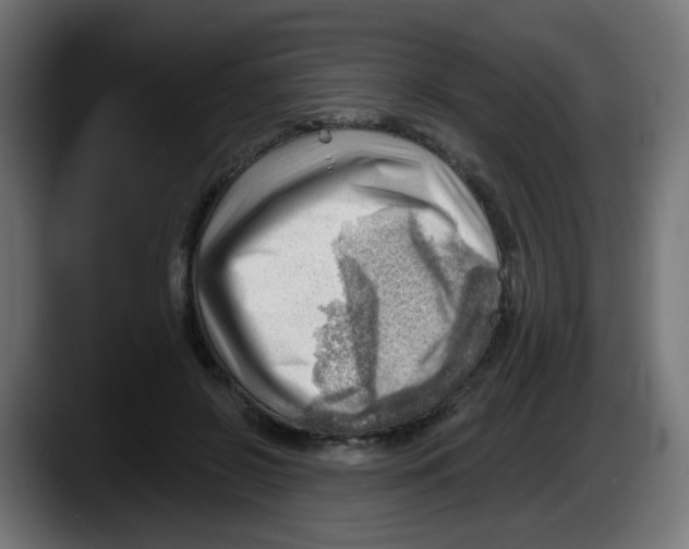 X0000087550550200705251742