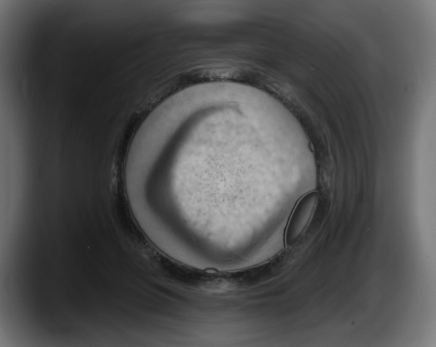 X0000087550551200705251742