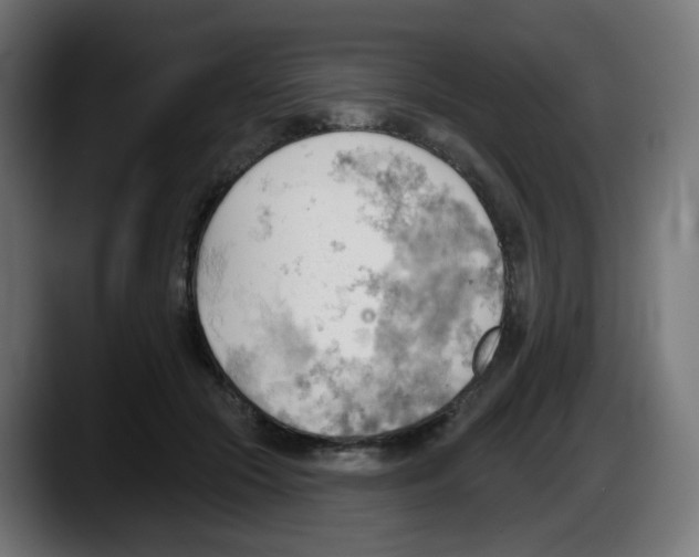 X0000087550553200705251742