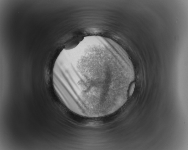 X0000087550555200705251742