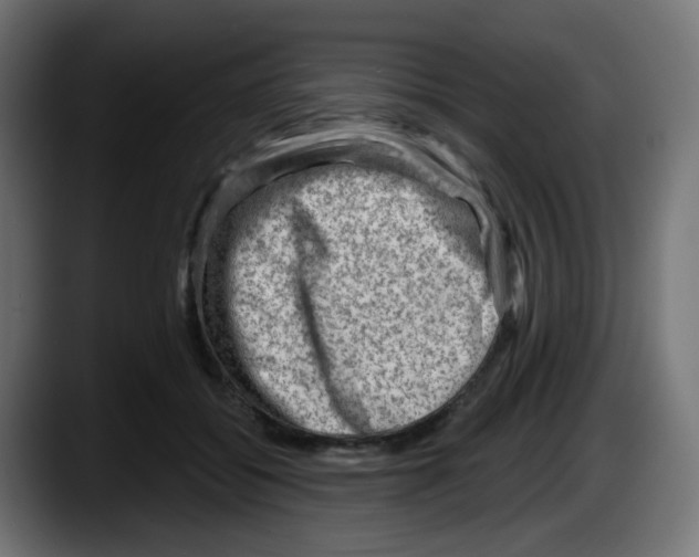 X0000087550556200705251742