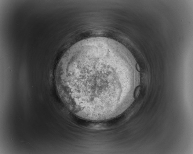 X0000087550557200705251742