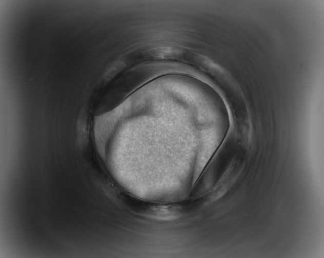 X0000087550558200705251742