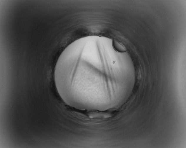 X0000087550559200705251742