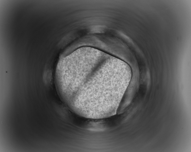 X0000087550560200705251742