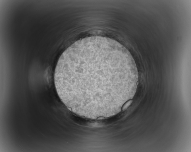 X0000087550561200705251742