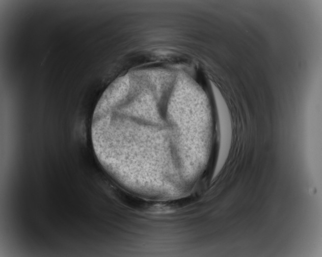 X0000087550562200705251742