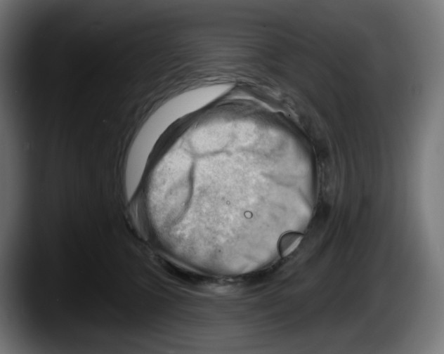 X0000087550563200705251742