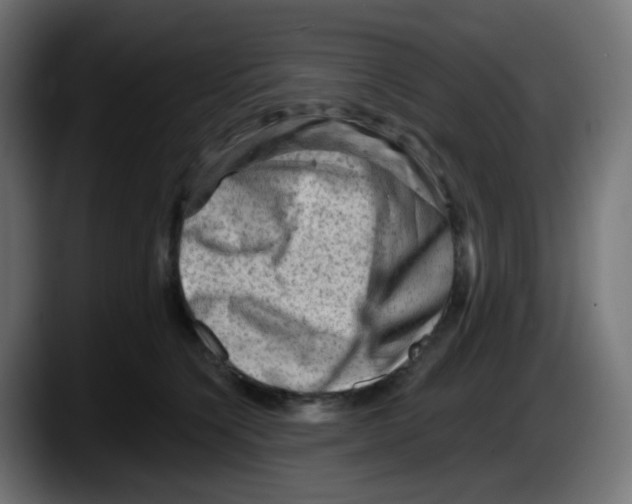 X0000087550564200705251742