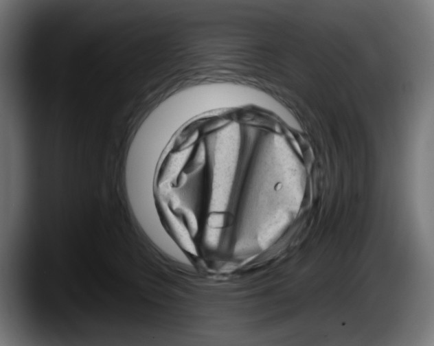 X0000087550566200705251742
