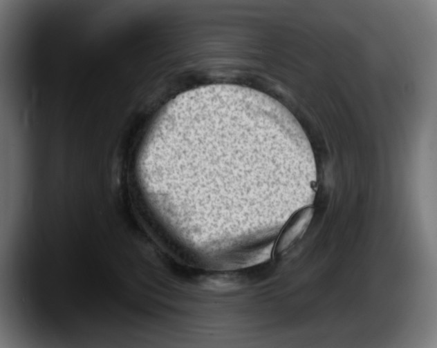 X0000087550567200705251742