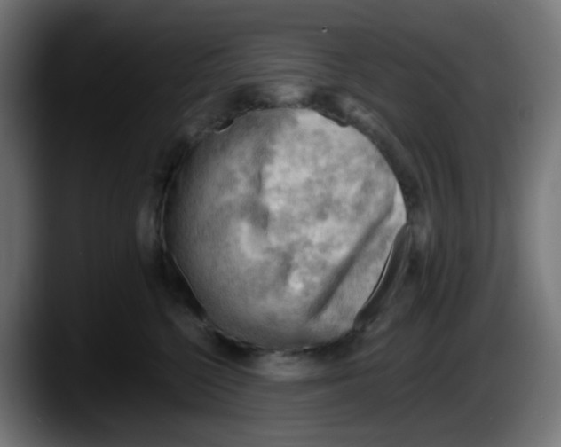 X0000087550568200705251742