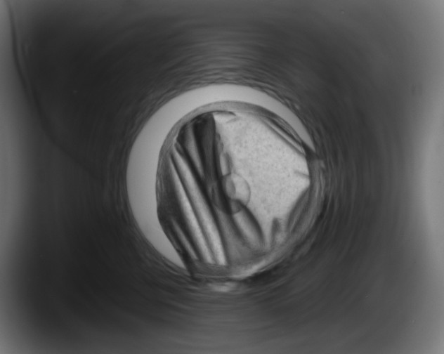 X0000087550570200705251742