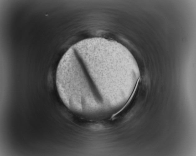 X0000087550572200705251742