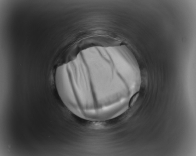 X0000087550573200705251742