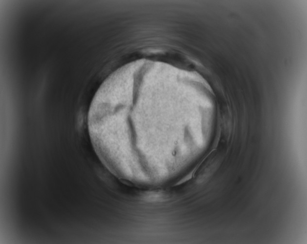 X0000087550574200705251742