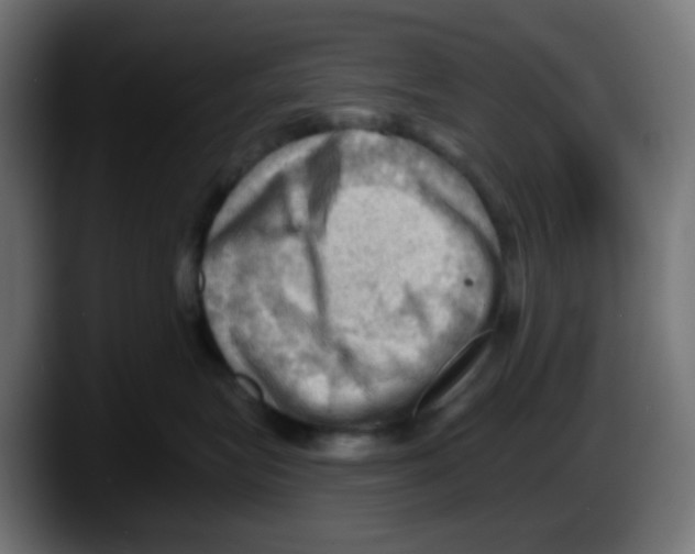 X0000087550575200705251742