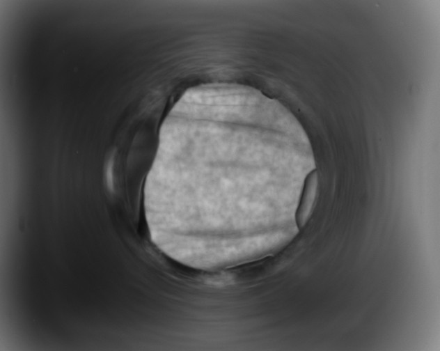 X0000087550576200705251742