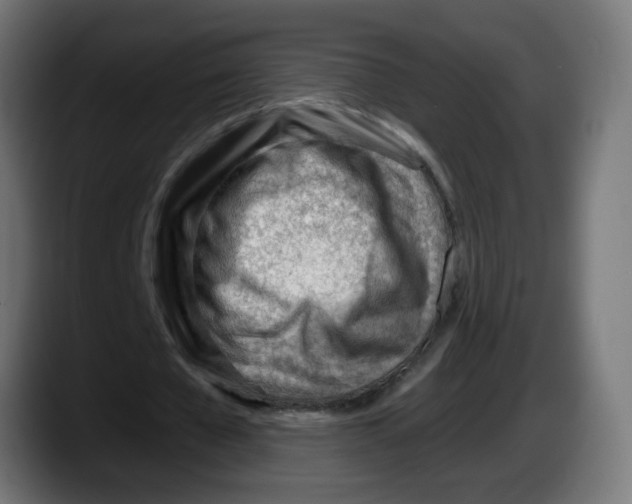 X0000087550577200705251742