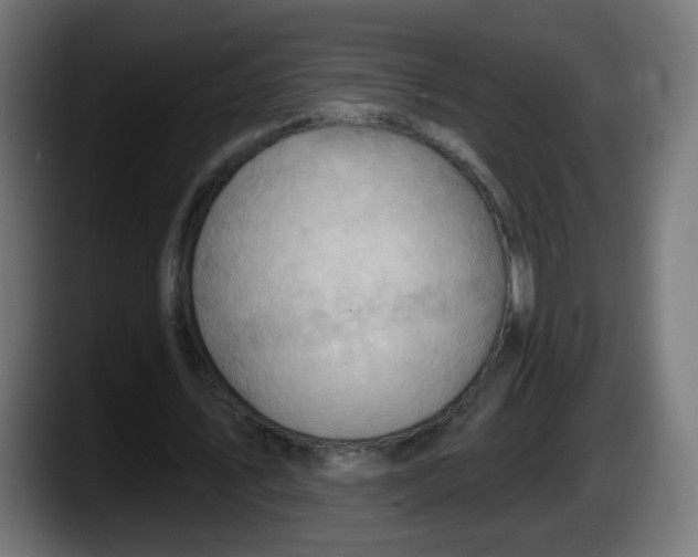 X0000087550579200705251742