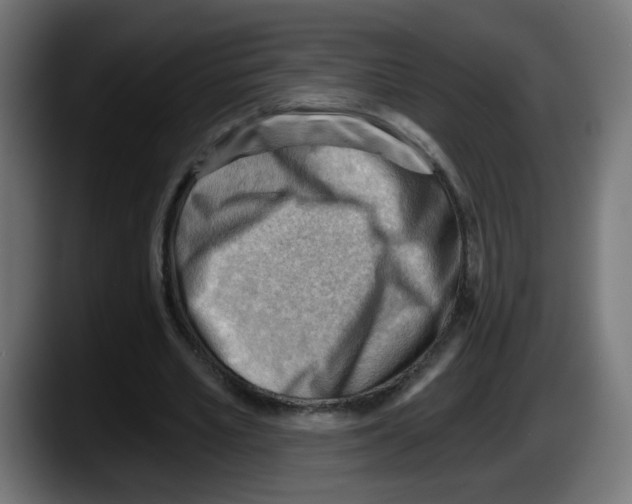 X0000087550581200705251742