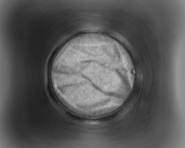 X0000087550582200705251742